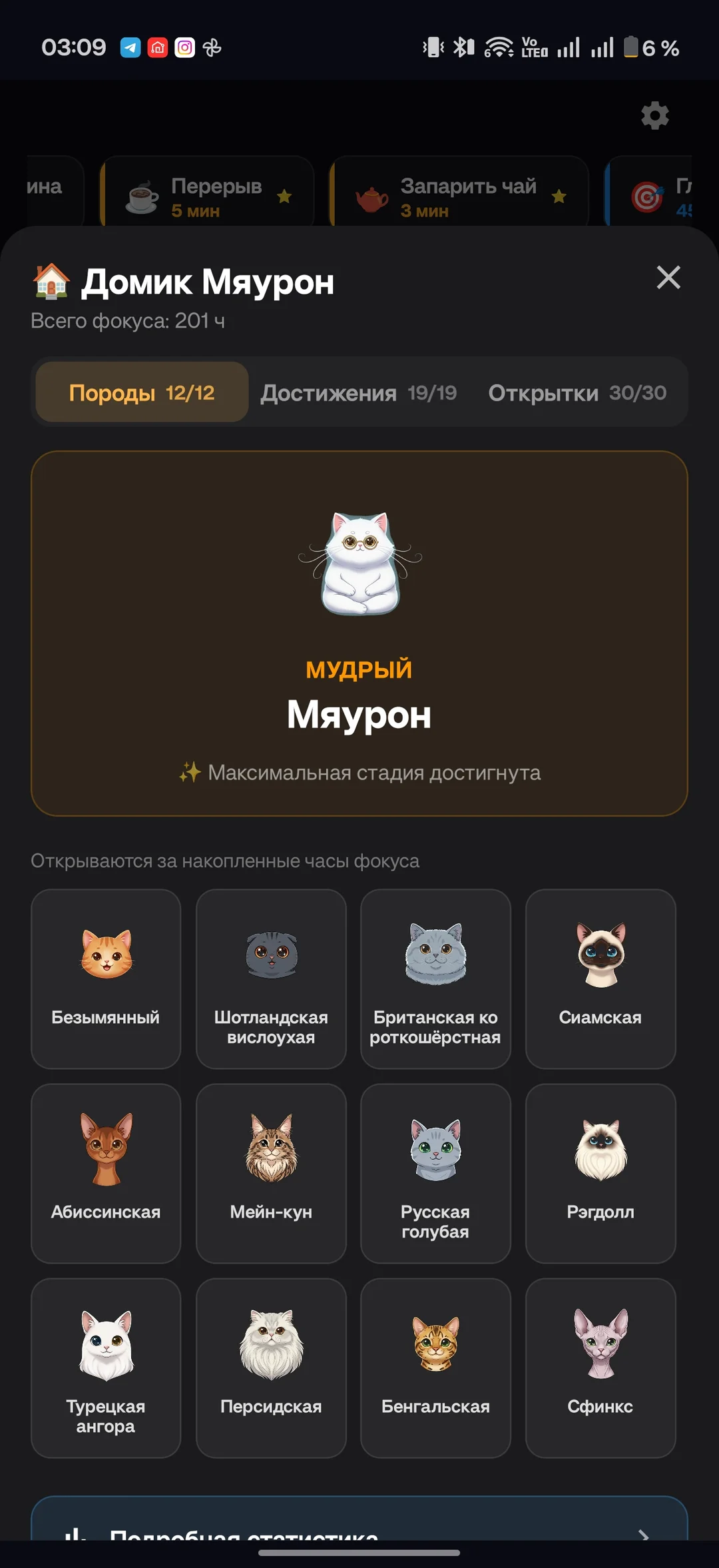 Cat House with all 12 breeds unlocked